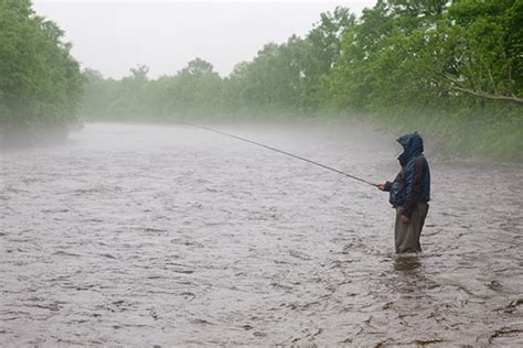 下雨天什麼魚開口：雨中的垂釣奇想與自然對話