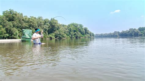 夏天河道怎麼釣魚 釣魚是否可以當作一種冥想方式